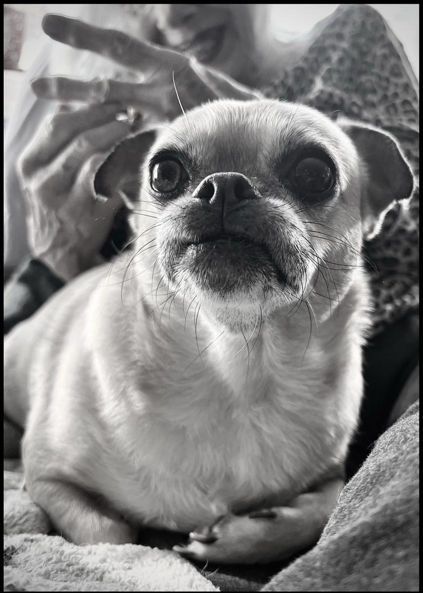 "Have you met my Bebe"