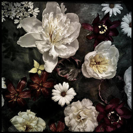 Untitled
12 x 12 archival pigment print