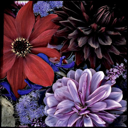 Dahlia 3
12 x12 archival pigment print